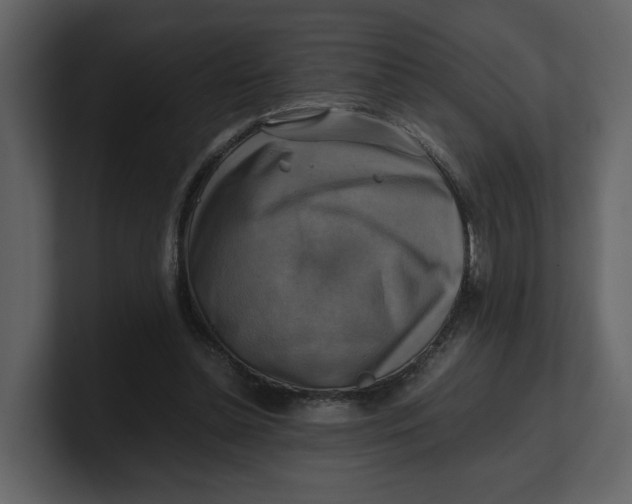 X0000100950348200807151341