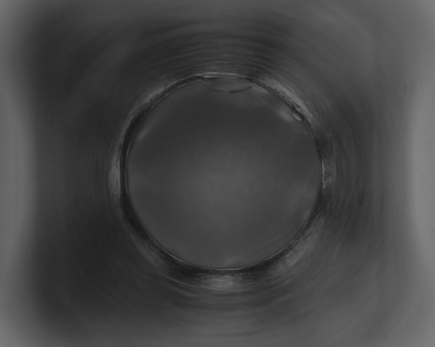 X0000100950349200807151341