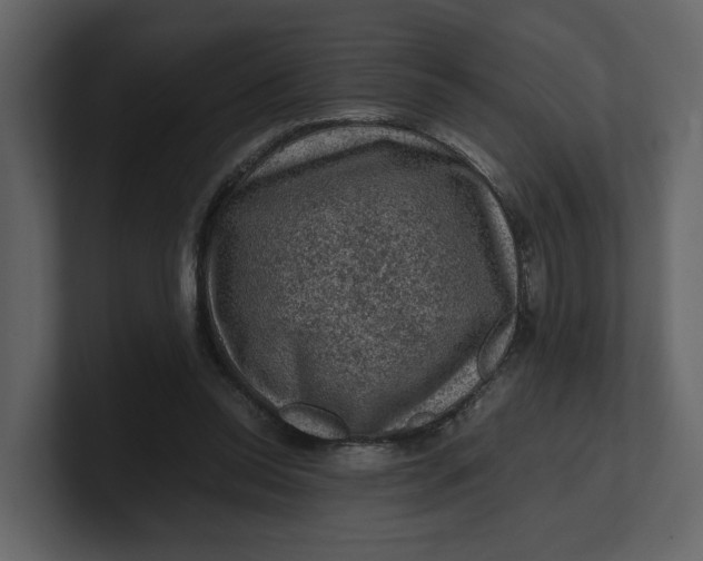 X0000100950350200807151341