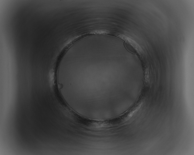 X0000100950351200807151341