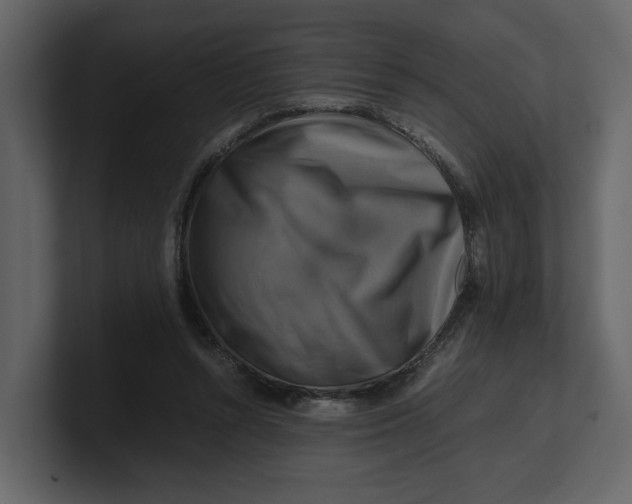 X0000100950352200807151341