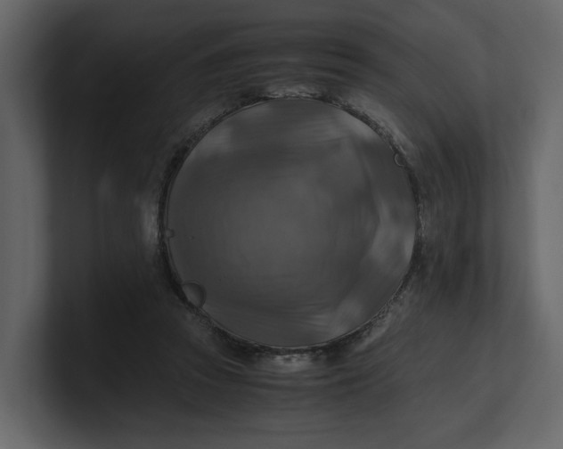 X0000100950353200807151341