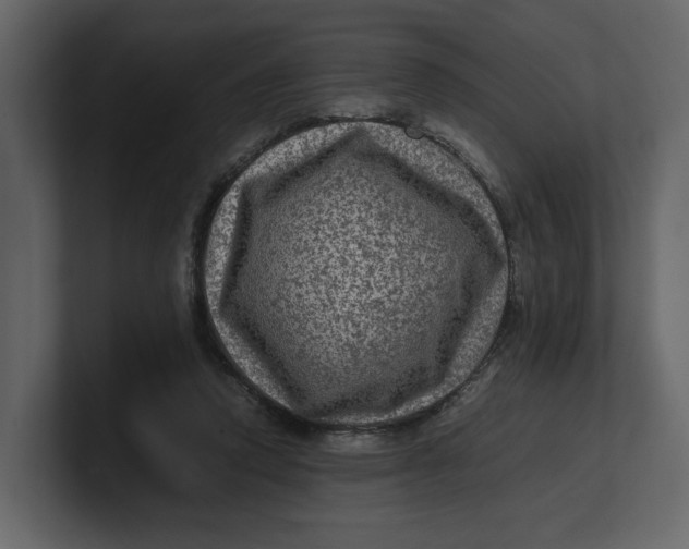 X0000100950354200807151341