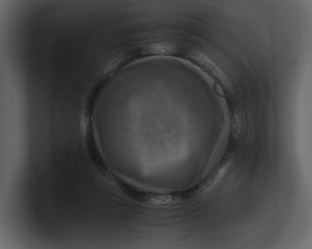 X0000100950355200807151341