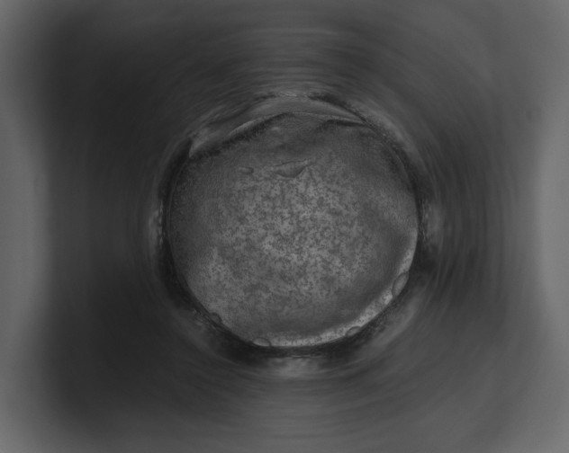 X0000100950356200807151341