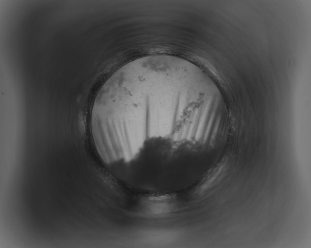 X0000100950357200807151342