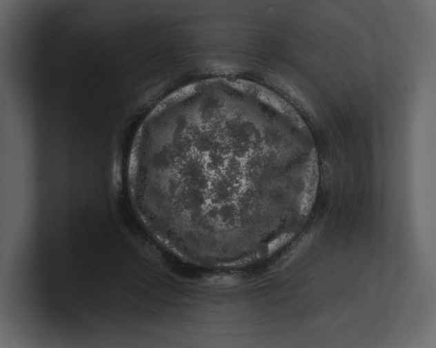 X0000100950358200807151342