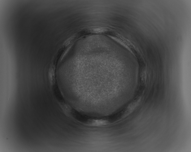 X0000100950360200807151342