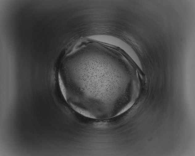 X0000100950362200807151342