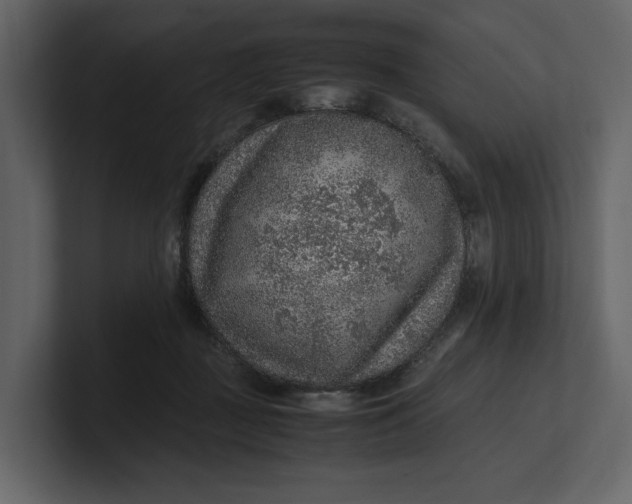 X0000100950363200807151342