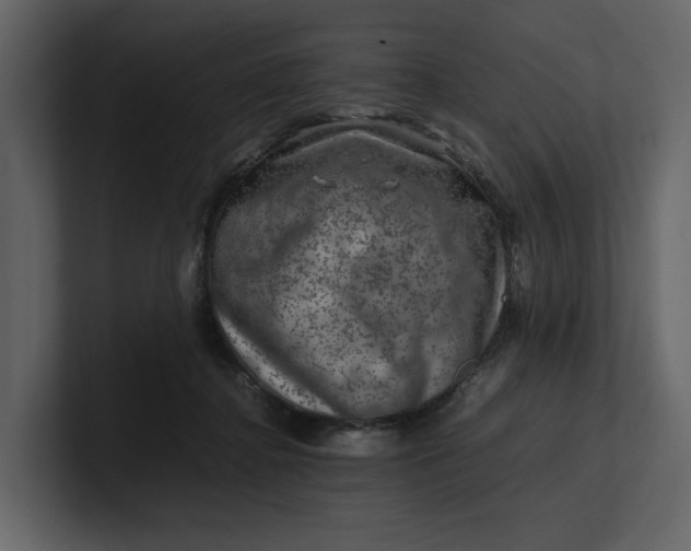 X0000100950364200807151342