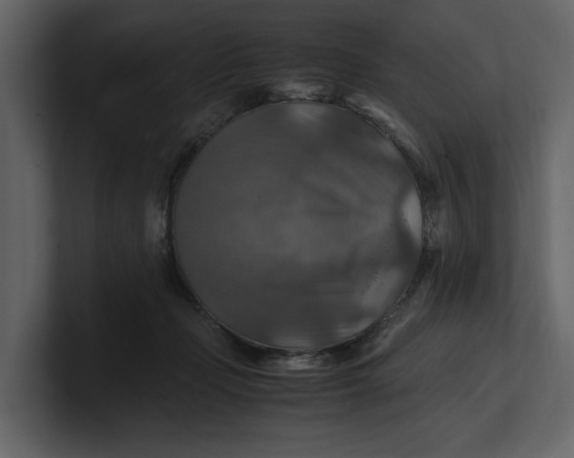 X0000100950365200807151342