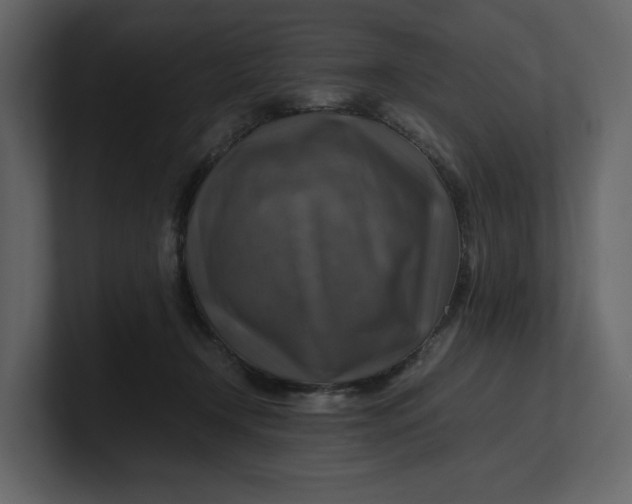 X0000100950366200807151342