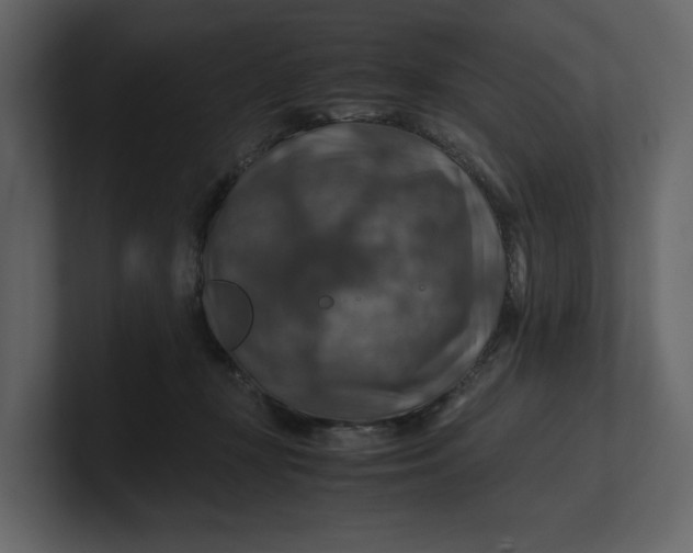 X0000100950367200807151342