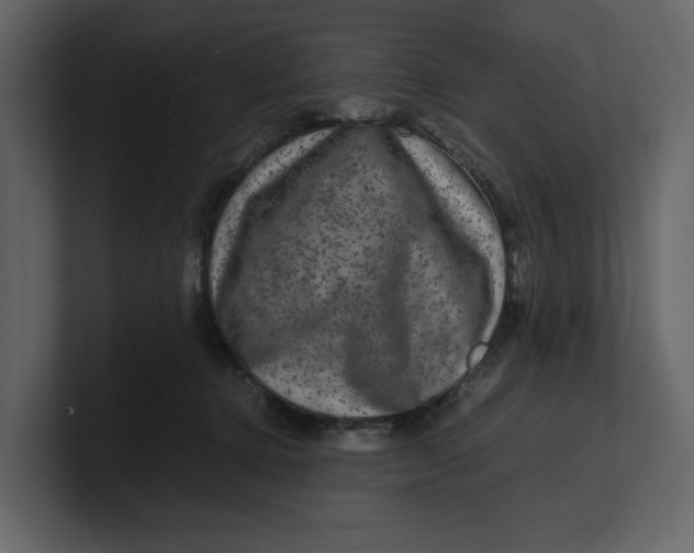 X0000100950368200807151342