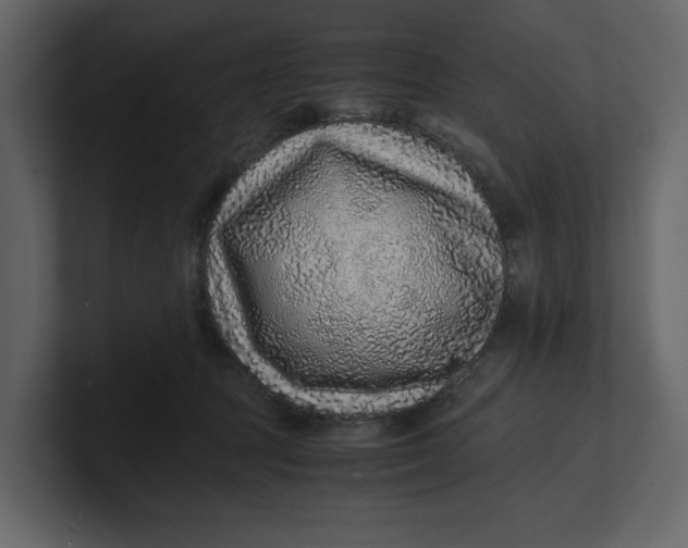 X0000100950369200807151342