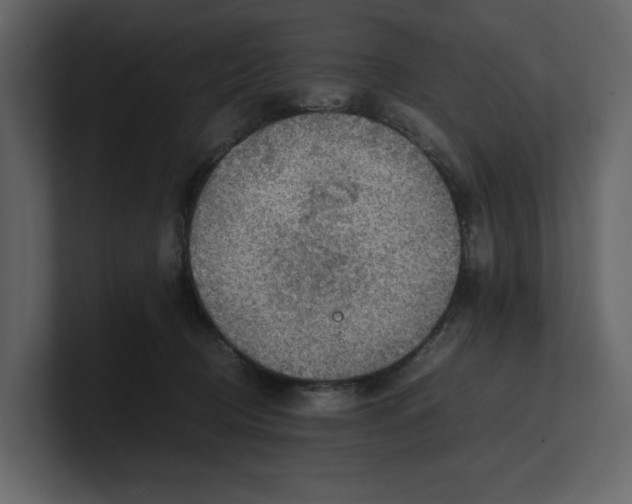 X0000100950370200807151342