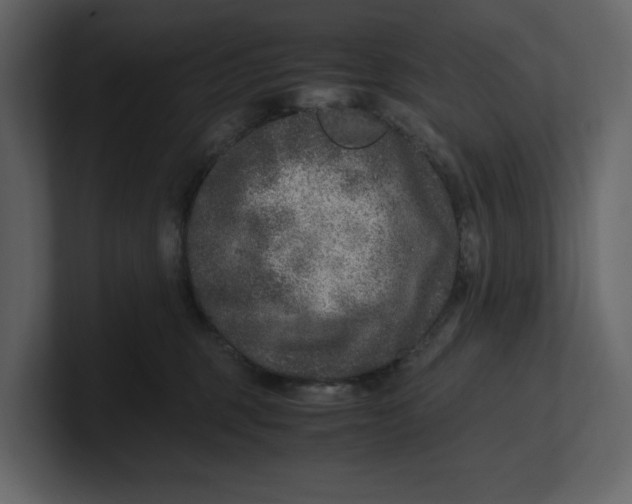 X0000100950375200807151342