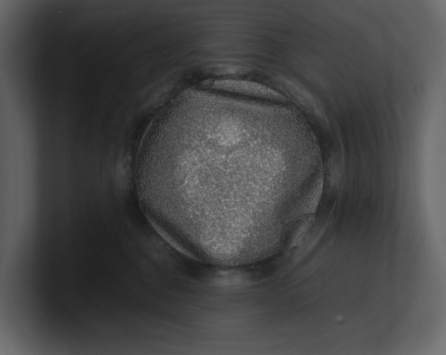 X0000100950376200807151342