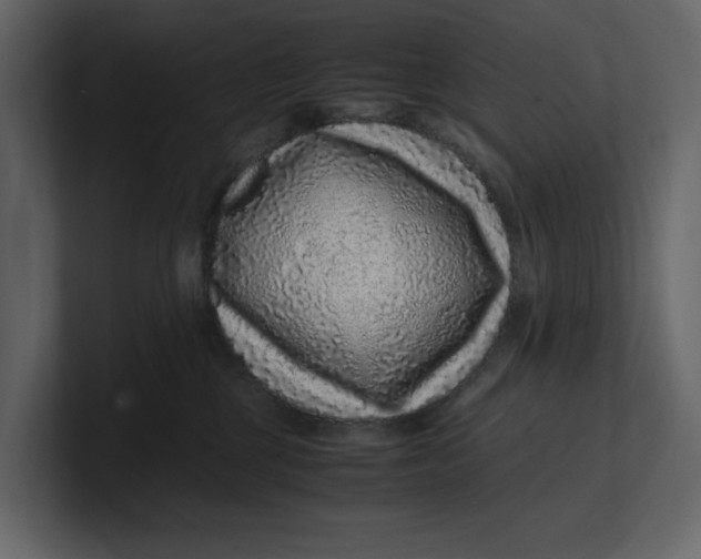 X0000100950377200807151342