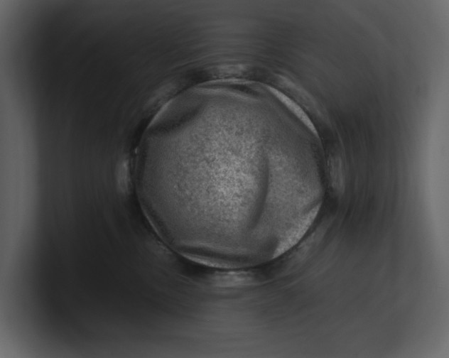 X0000100950378200807151342