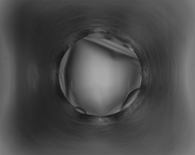 X0000100950379200807151342