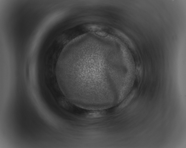 X0000100950381200807151342