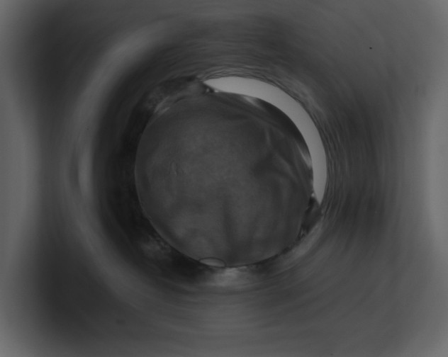 X0000100950382200807151342