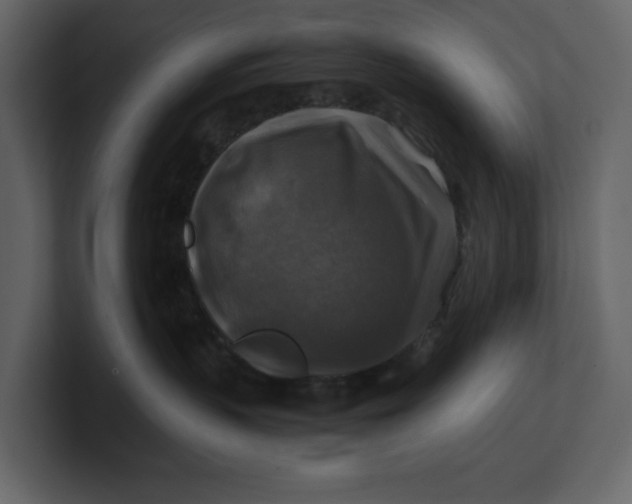 X0000100950383200807151342