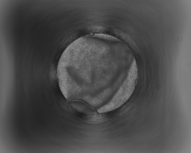 X0000100950384200807151342