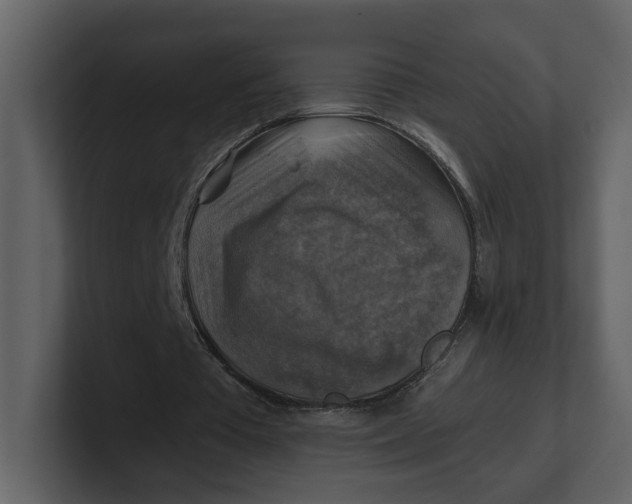 X0000100950385200807151341