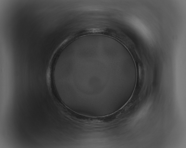 X0000100950387200807151341