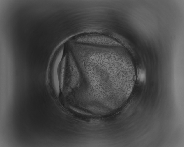 X0000100950388200807151341