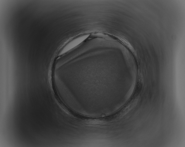 X0000100950389200807151341