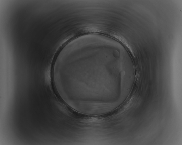 X0000100950390200807151341