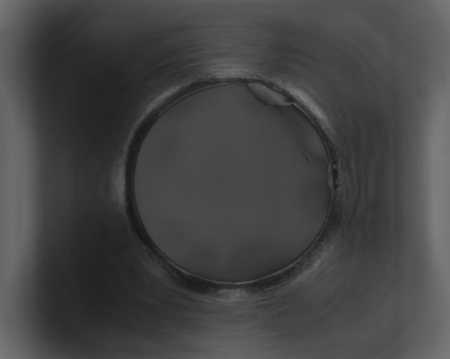 X0000100950391200807151341