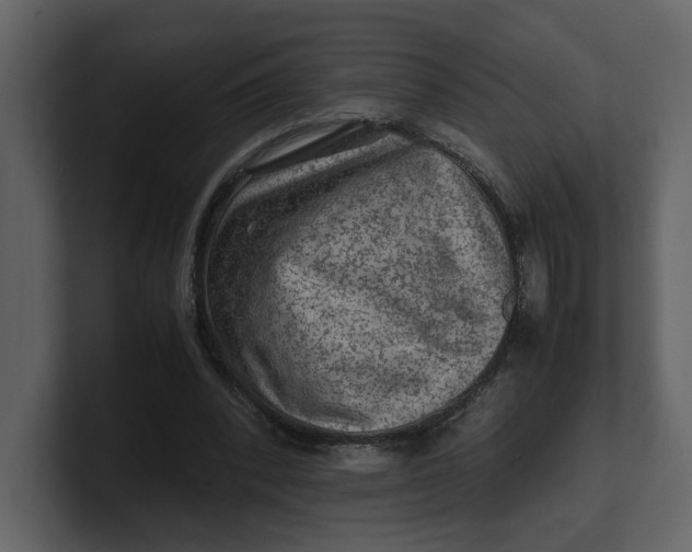 X0000100950392200807151341