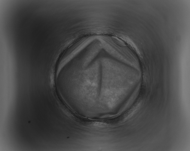 X0000100950393200807151341