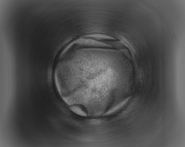 X0000100950394200807151341