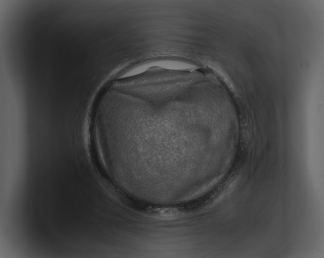 X0000100950395200807151341