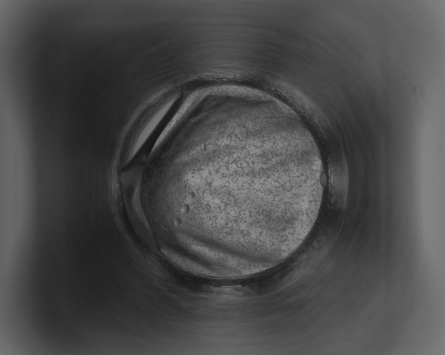 X0000100950396200807151341