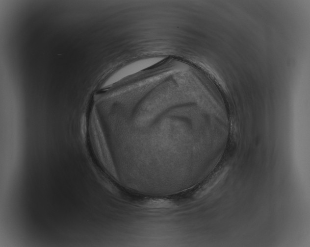 X0000100950397200807151341