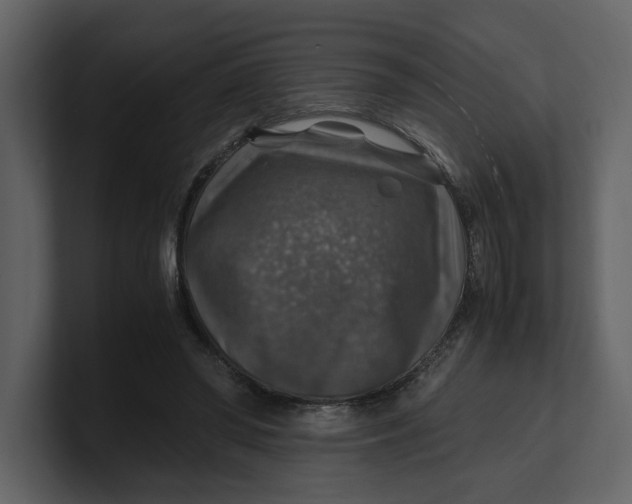 X0000100950398200807151341