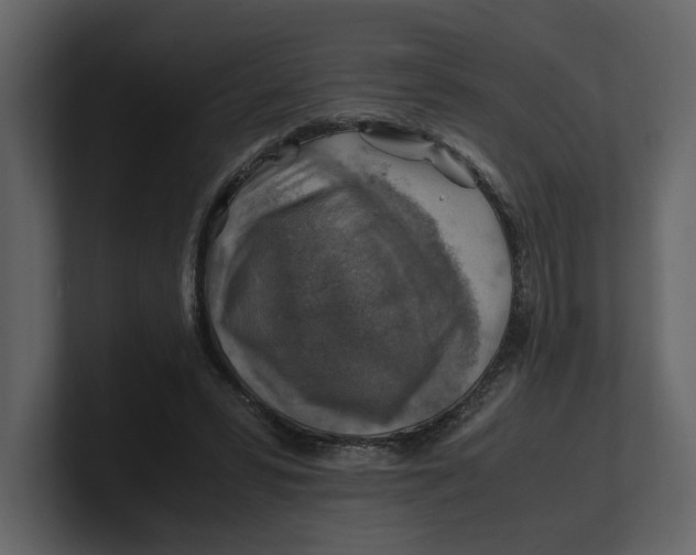 X0000100950399200807151341