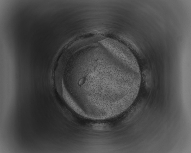 X0000100950400200807151341