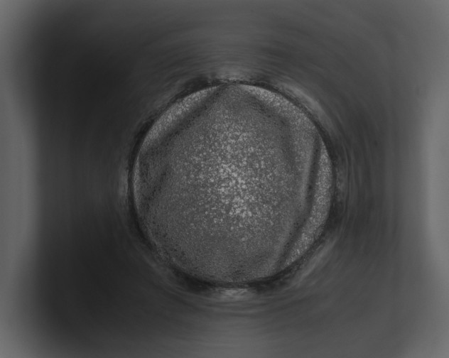 X0000100950401200807151341