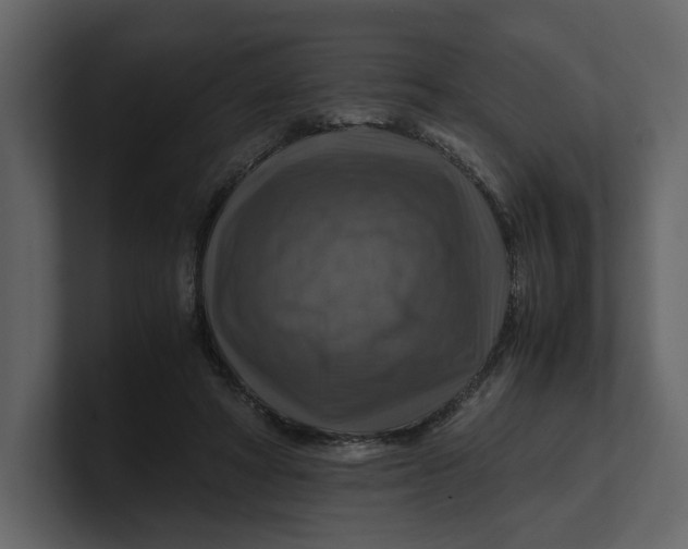 X0000100950402200807151341