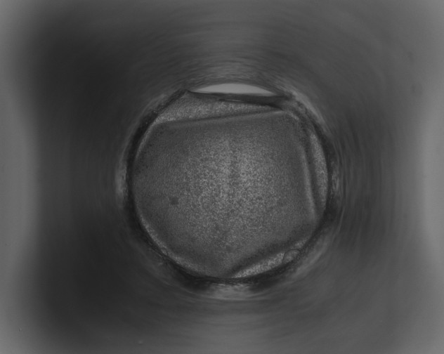 X0000100950403200807151341