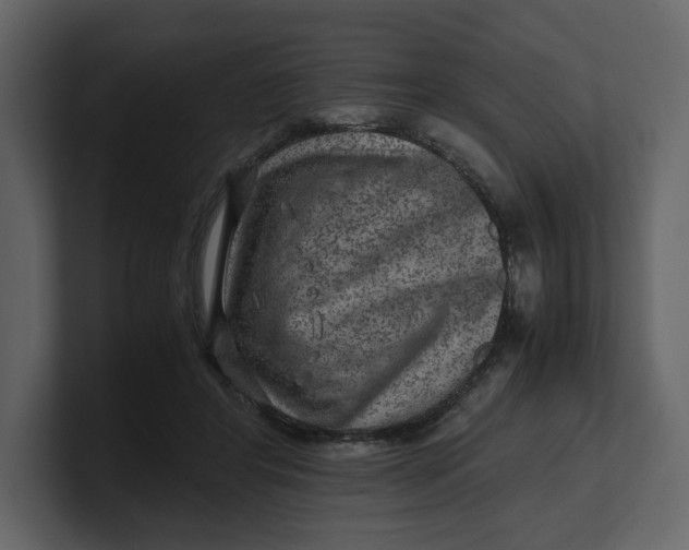 X0000100950404200807151341