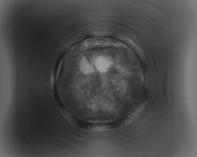 X0000100950405200807151341